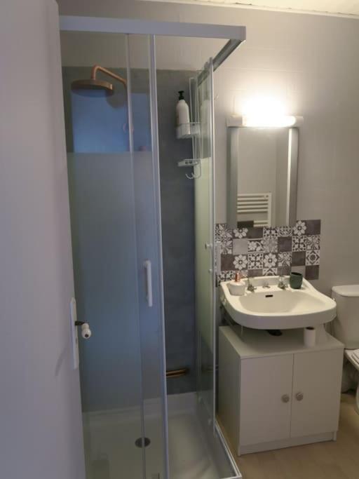 Appartement Des Hirondelles , Au Pied Du Chateau Chinon Eksteriør billede